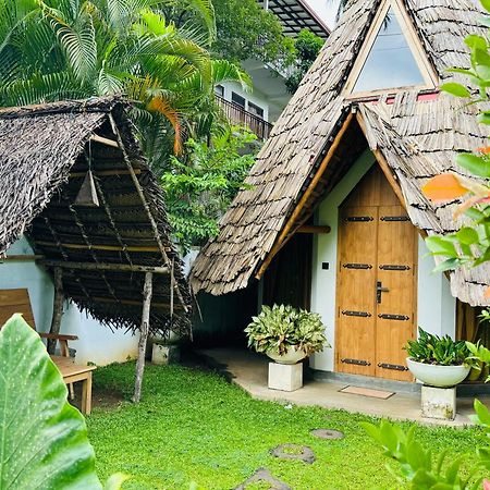 Turtle Wood Cabin Tangalle Ngoại thất bức ảnh
