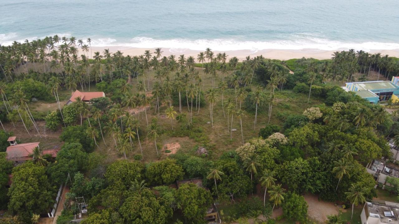 Turtle Wood Cabin Tangalle Ngoại thất bức ảnh