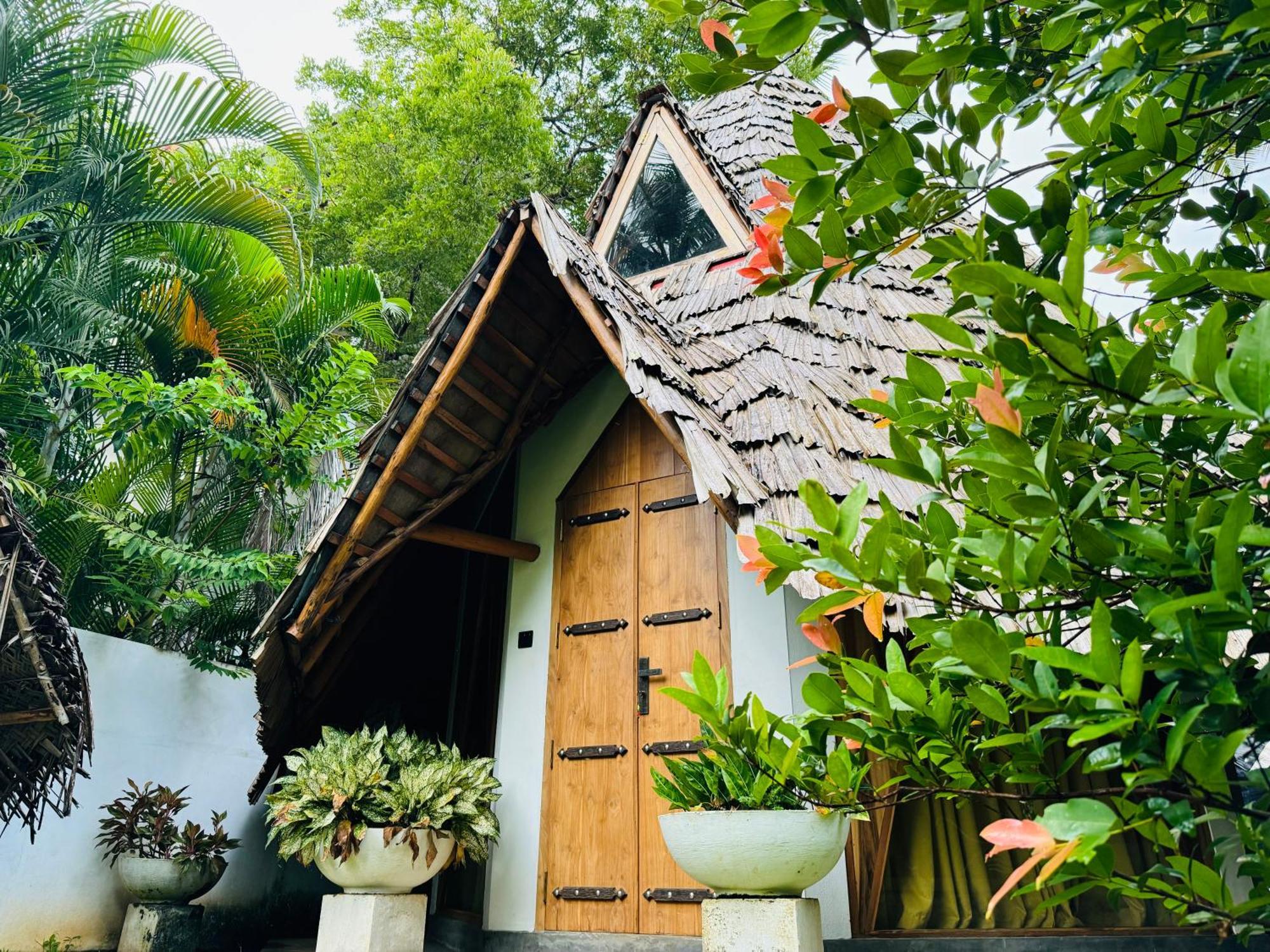 Turtle Wood Cabin Tangalle Ngoại thất bức ảnh