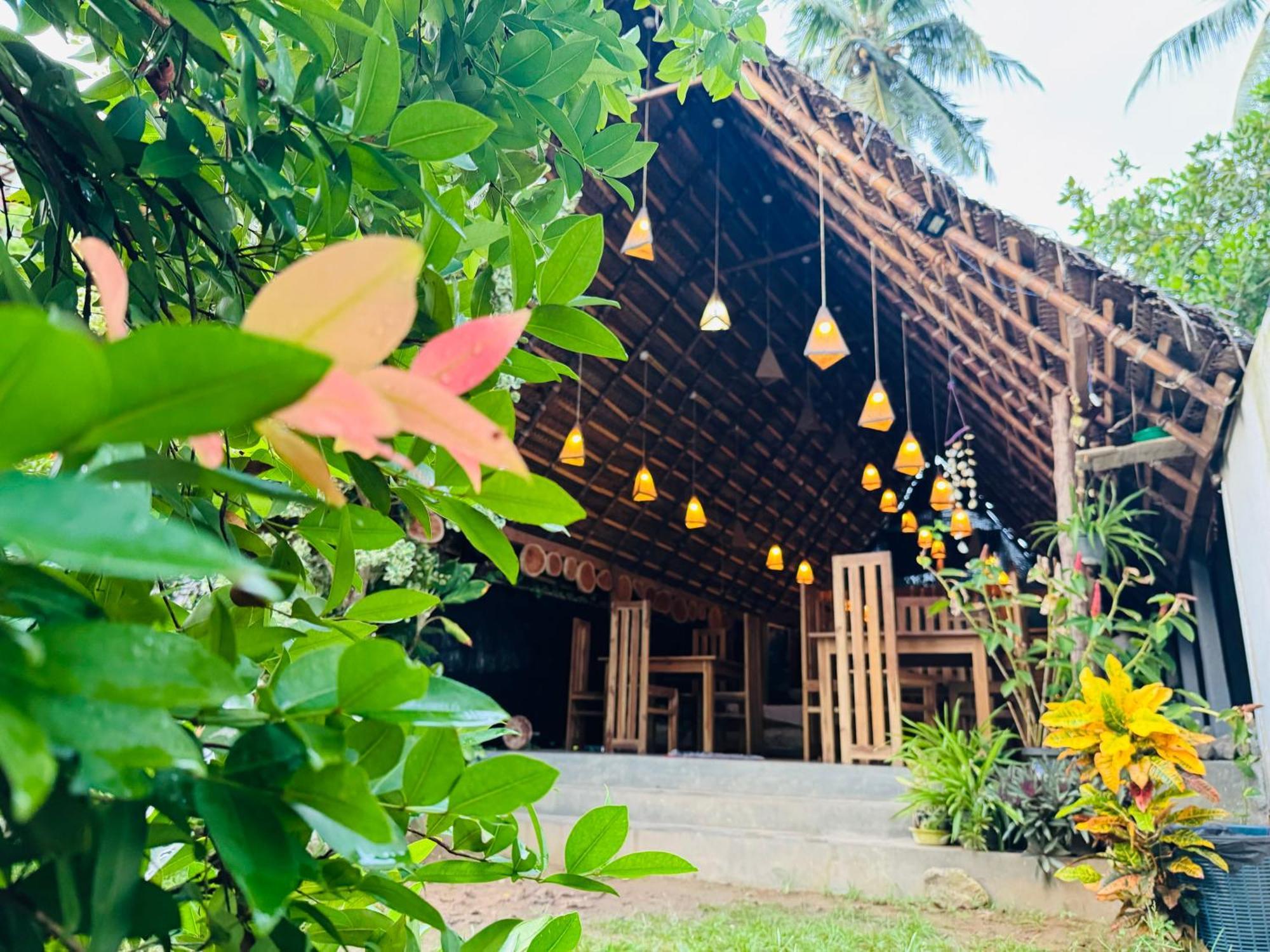 Turtle Wood Cabin Tangalle Ngoại thất bức ảnh