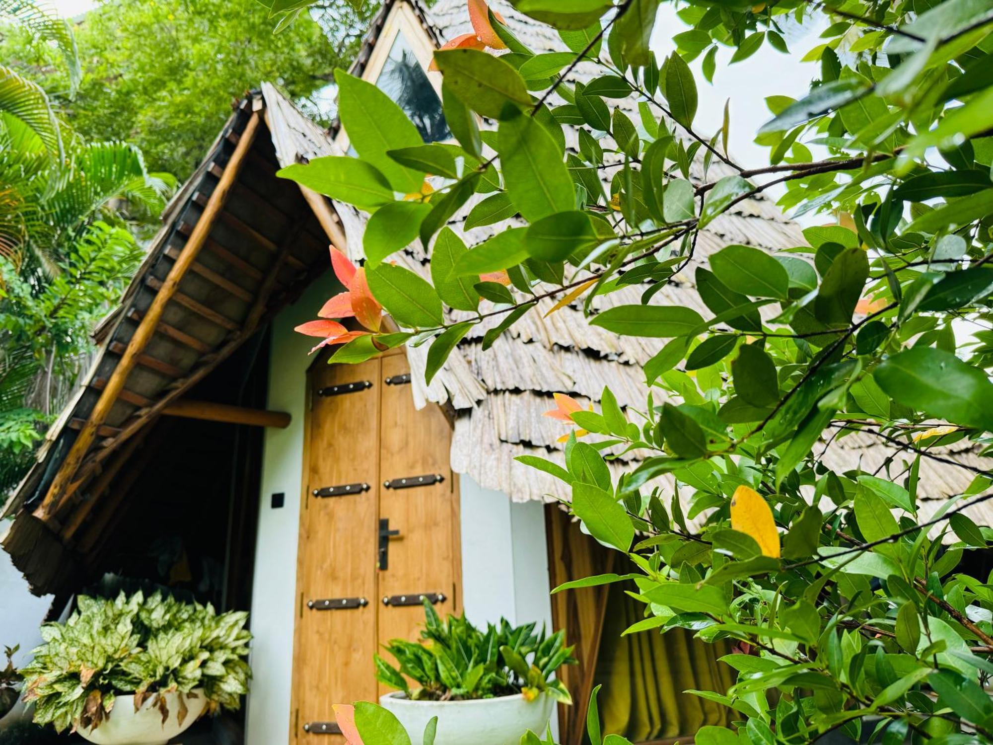 Turtle Wood Cabin Tangalle Ngoại thất bức ảnh
