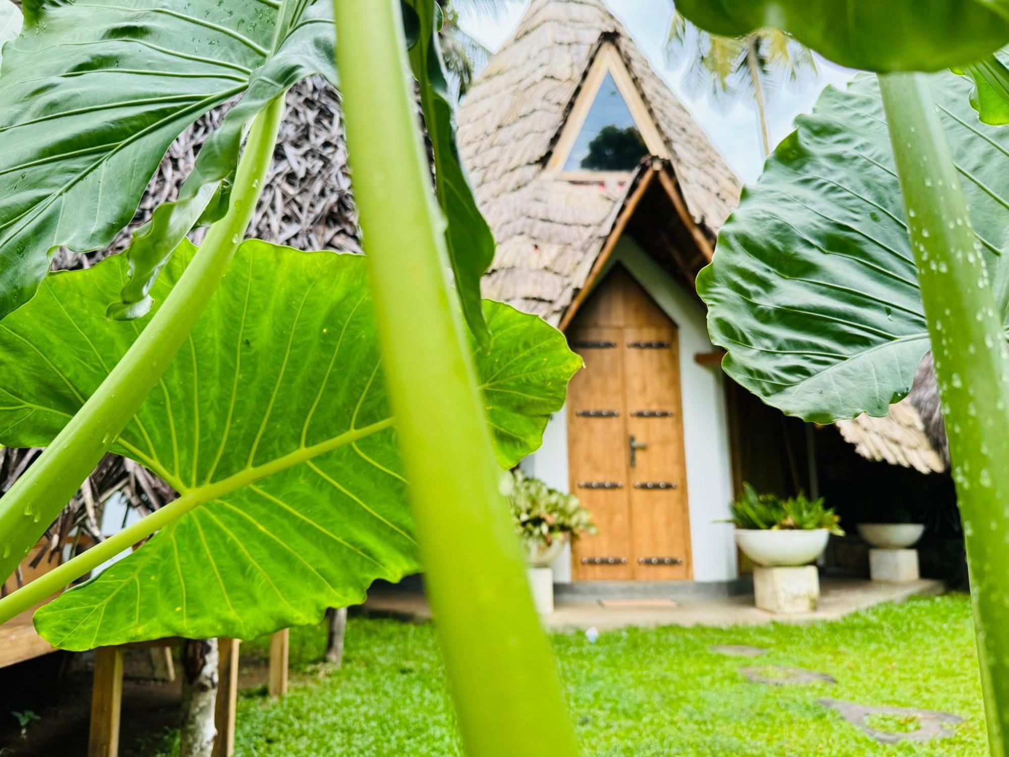 Turtle Wood Cabin Tangalle Ngoại thất bức ảnh