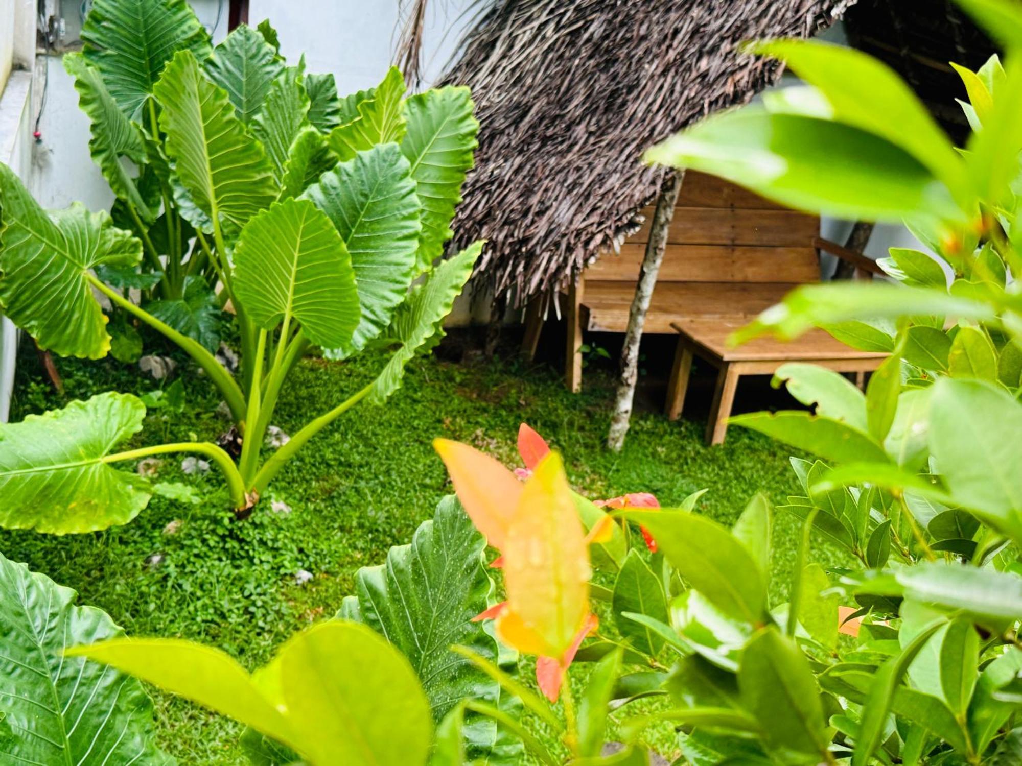 Turtle Wood Cabin Tangalle Ngoại thất bức ảnh