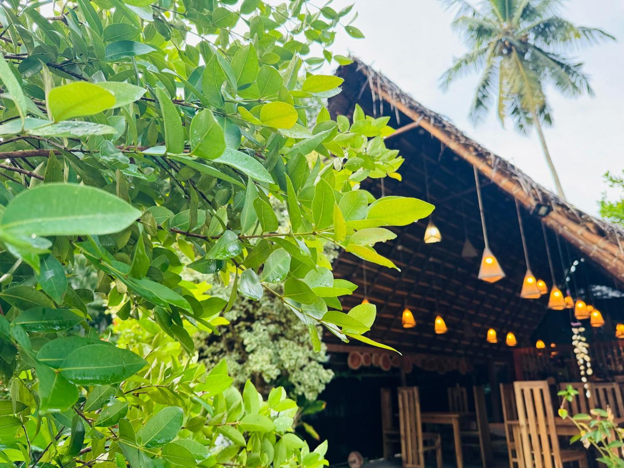 Turtle Wood Cabin Tangalle Ngoại thất bức ảnh